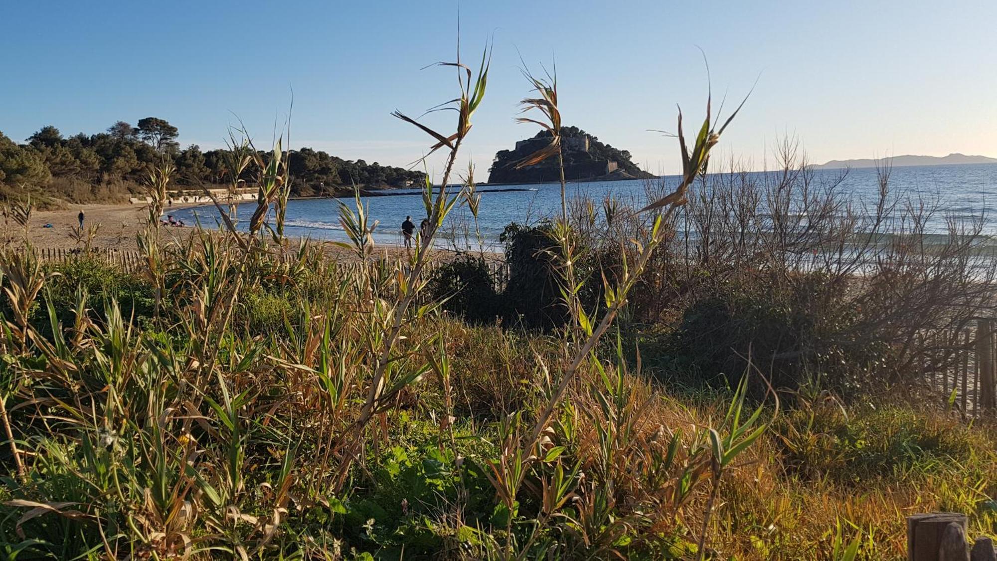 Rez De Jardin T3 Recent Et Calme Au Nouvelles Terres A La Londe Les Maures Apartment Bagian luar foto