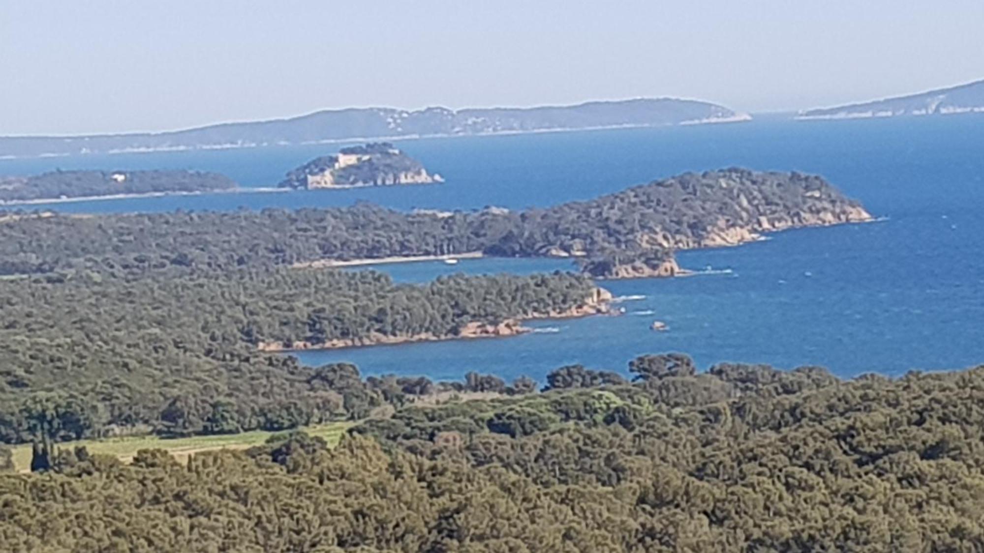 Rez De Jardin T3 Recent Et Calme Au Nouvelles Terres A La Londe Les Maures Apartment Bagian luar foto