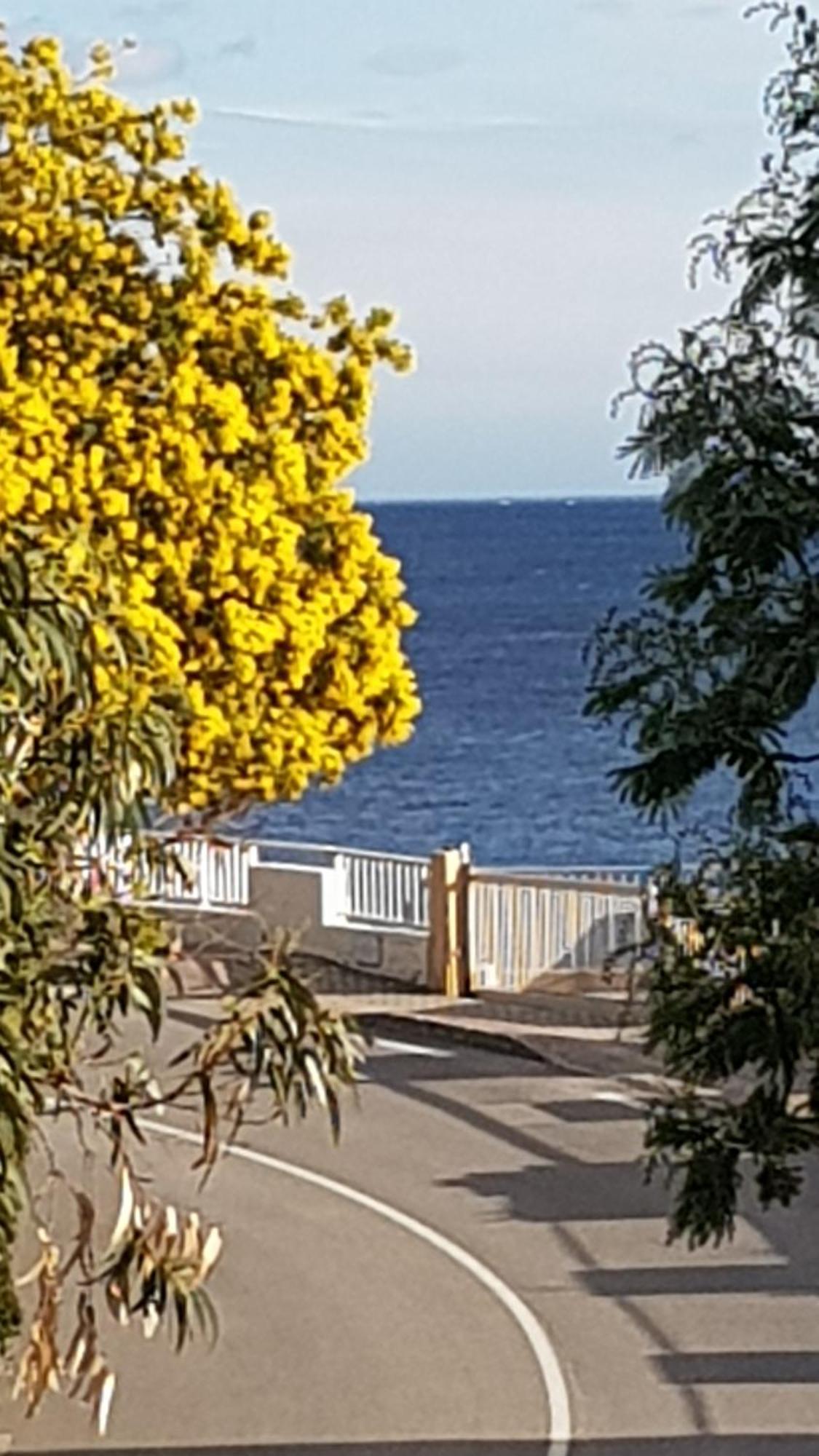 Rez De Jardin T3 Recent Et Calme Au Nouvelles Terres A La Londe Les Maures Apartment Bagian luar foto