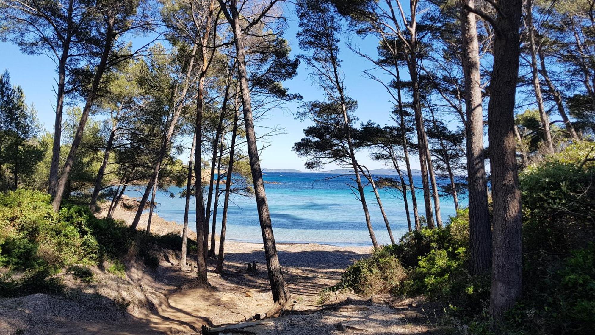 Rez De Jardin T3 Recent Et Calme Au Nouvelles Terres A La Londe Les Maures Apartment Bagian luar foto