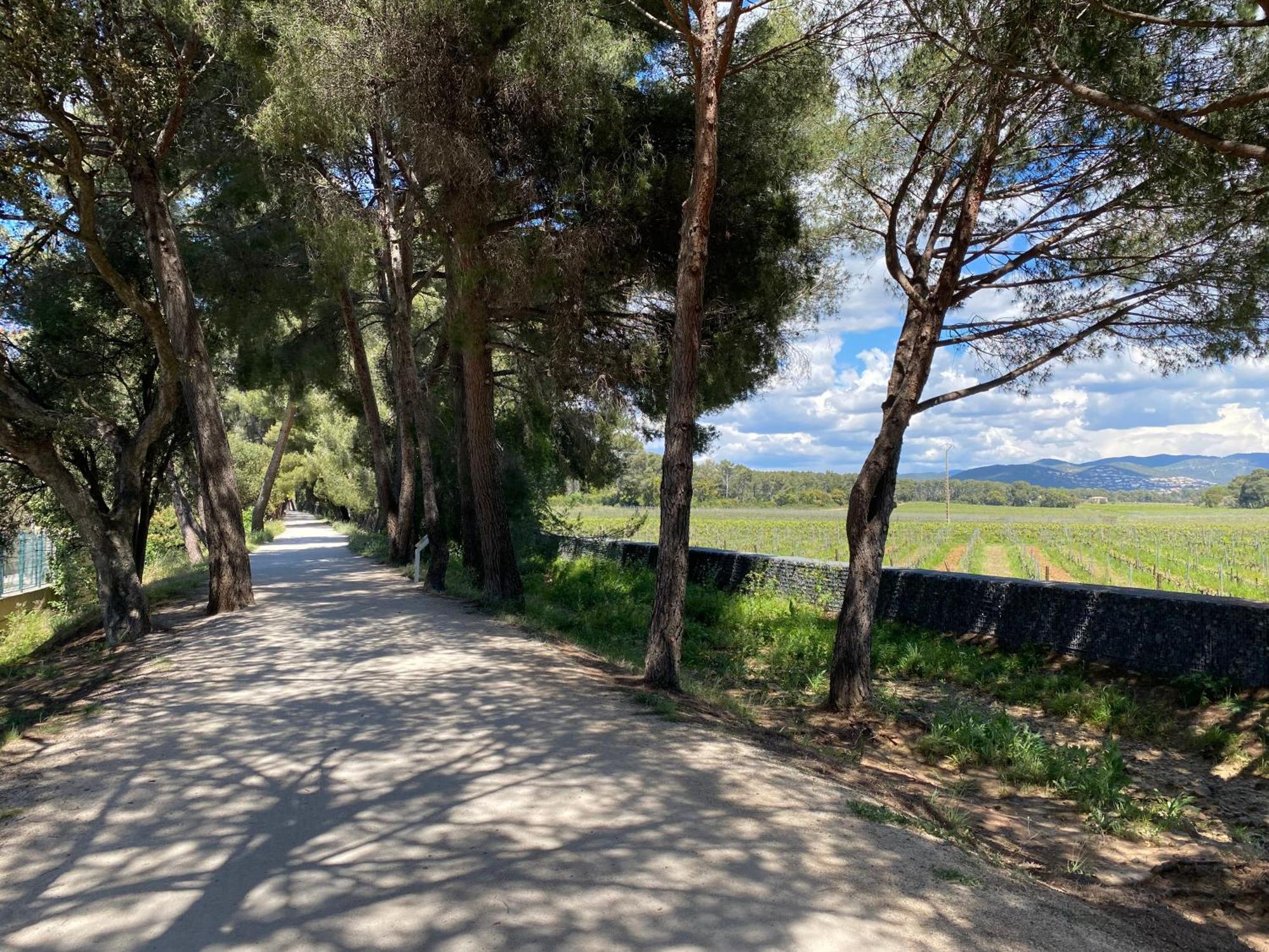 Rez De Jardin T3 Recent Et Calme Au Nouvelles Terres A La Londe Les Maures Apartment Bagian luar foto