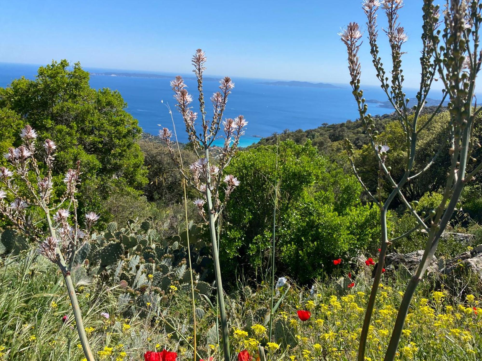 Rez De Jardin T3 Recent Et Calme Au Nouvelles Terres A La Londe Les Maures Apartment Bagian luar foto