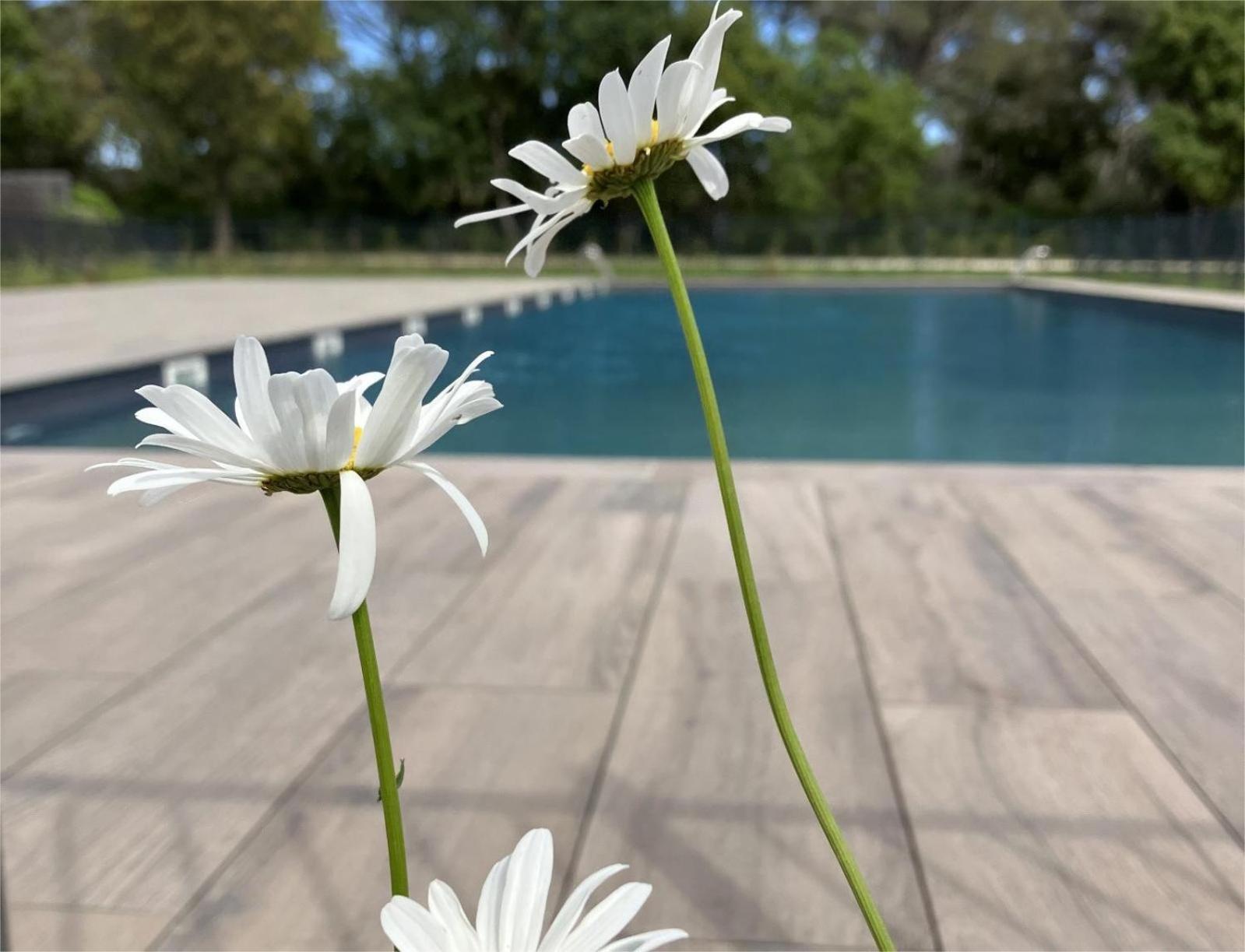 Rez De Jardin T3 Recent Et Calme Au Nouvelles Terres A La Londe Les Maures Apartment Bagian luar foto